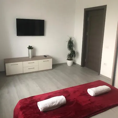 Apartament Doua Liliana